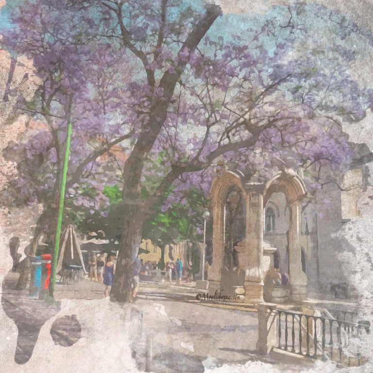 Private walking tour of Lisbon in English off the beaten track at Largo do Carmo