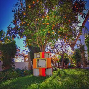 Ripe orange tree in a palace in Almada opposite Lisbon where you have the most beautiful views of the city