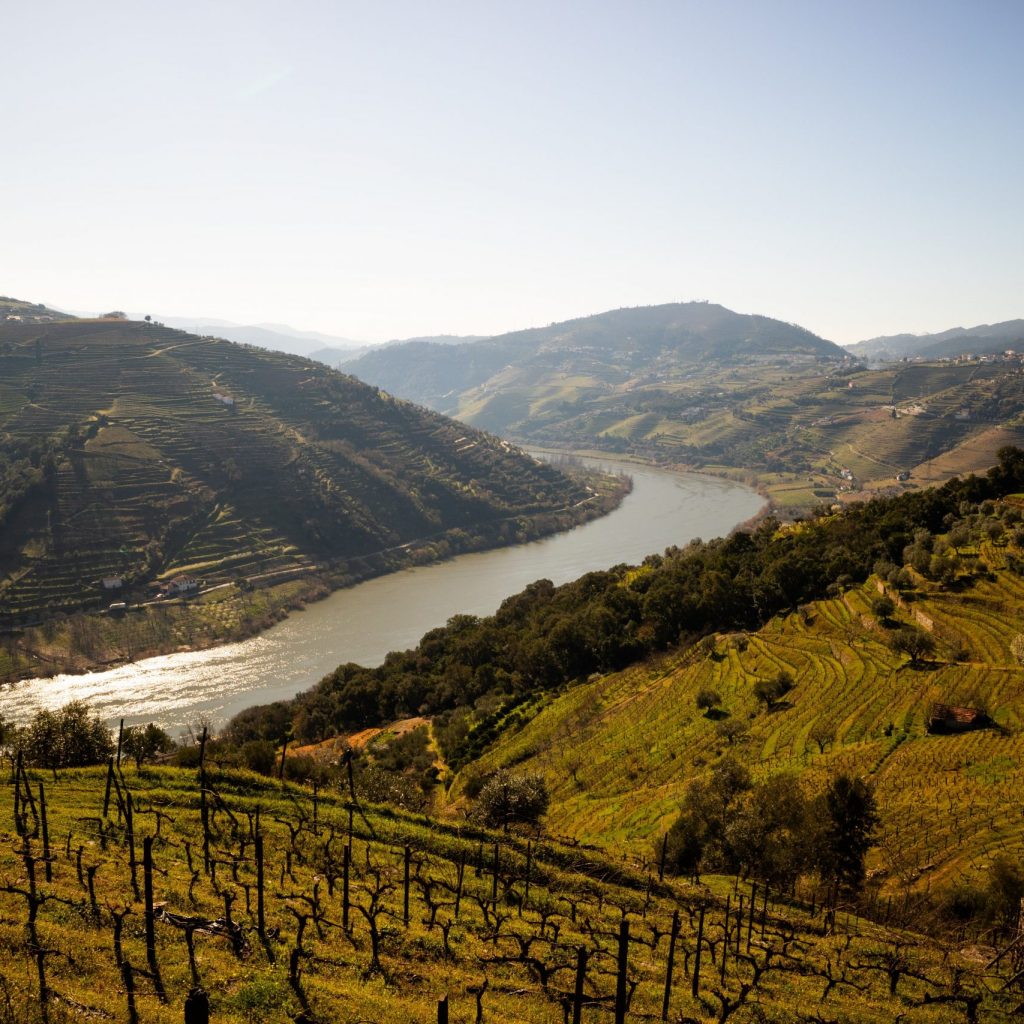 Guia de vinhos de Portugal com a região vinícola do Vale do Douro