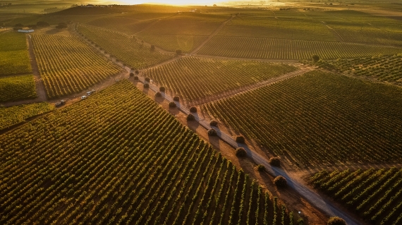 Alentejo wines represented by Herdade Grande at the second Tchin Tchin tasting in Lisbon