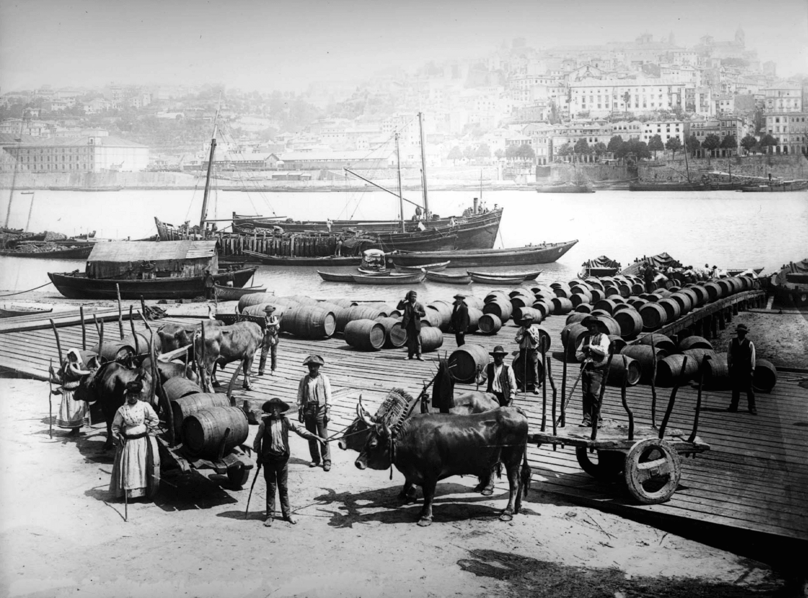 História dos vinhos portugueses e a sua exportação internacional