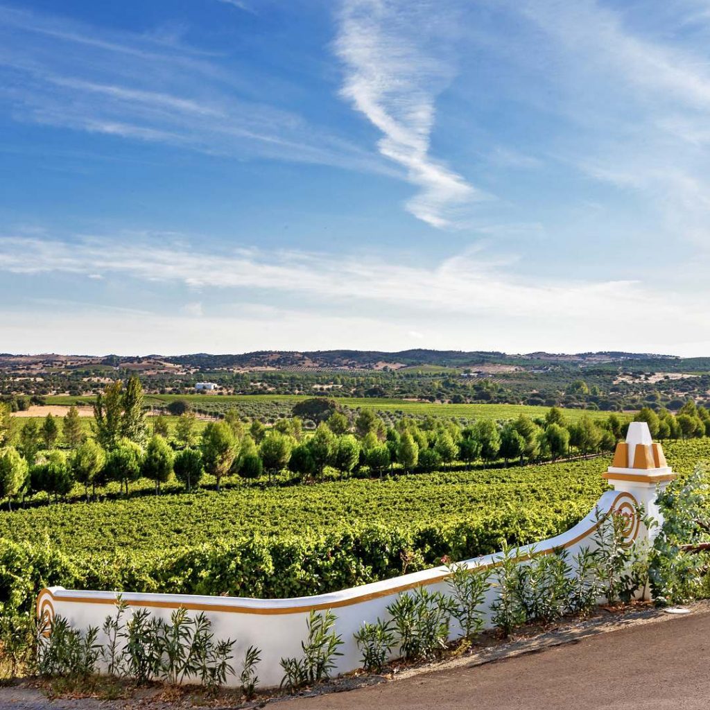 Grande vinha do Alentejo e um dos melhores vinhos portugueses: Monte dos Perdigos