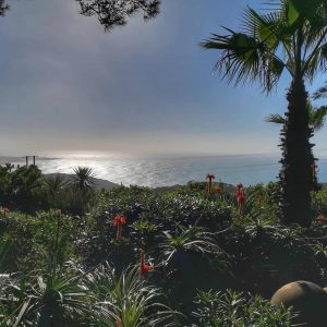 the most beautiful views of the Atlantic Ocean in Lisbon are from the coast of sintra