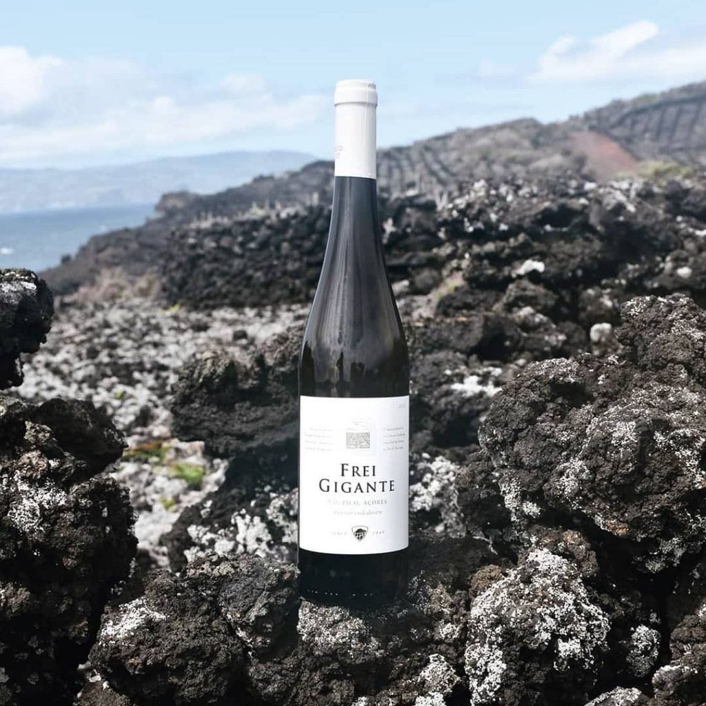 O guia de vinhos português com o vinho Pico do arquipélago dos Açores.