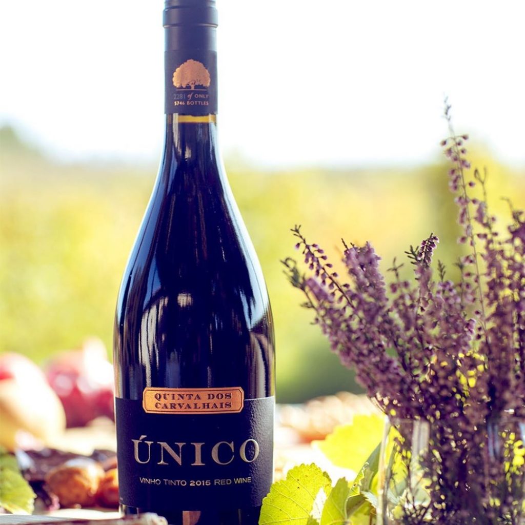 Quinta dos Carvalhais, um vinho excecional produzido na região do Dão