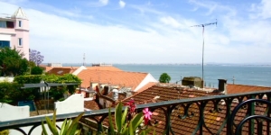 ACISJF, on the terrace with the sparrows