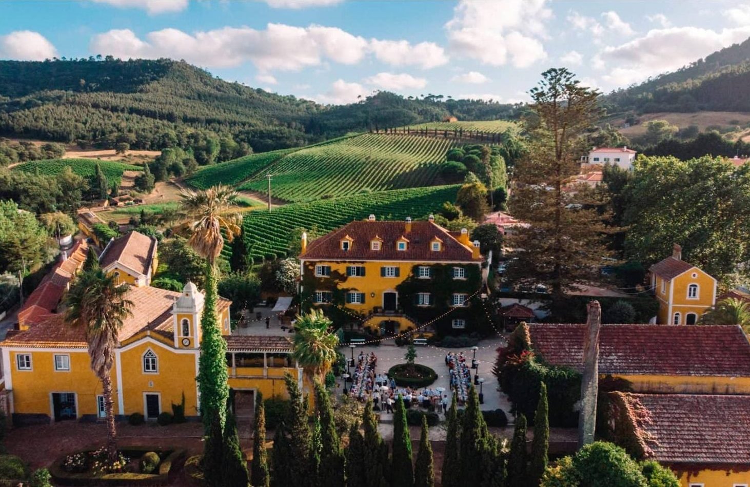 Exclusive private tour to a wine estate in the Lisbon area to taste Portuguese wines from Lisbon