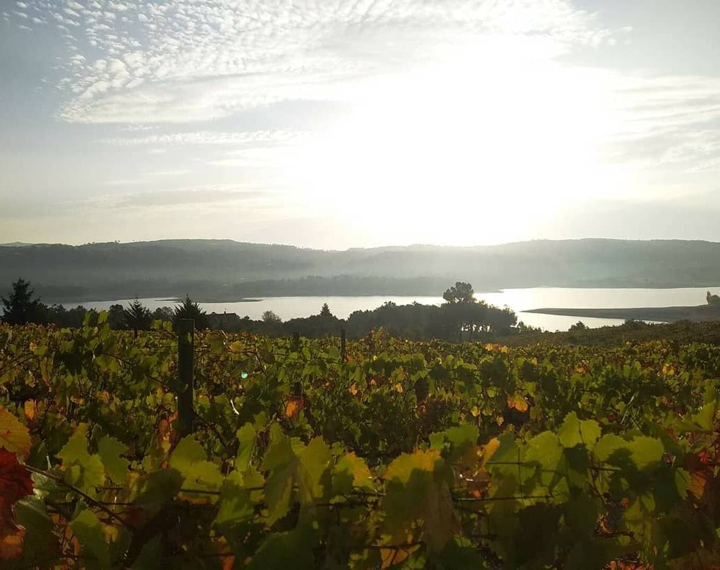 Guia de vinhos de Portugal com a região vinícola de Tavora e Varosa