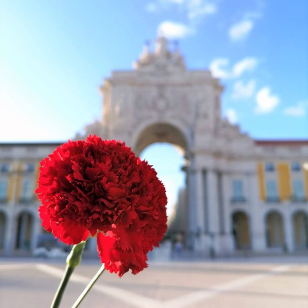 Oeillet rouge praça do comércio