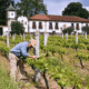 The wines of tras-Os-Montes in Portugal through the wines of Palmeirim d'Inglaterra