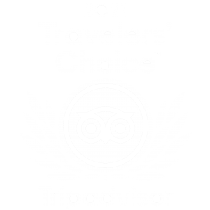 Nouveau transparent