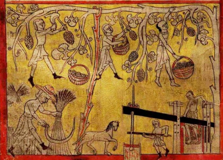 História dos vinhos portugueses e do vinho verde através das gravuras históricas de Lorvão